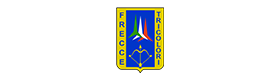 Frecce Tricolori